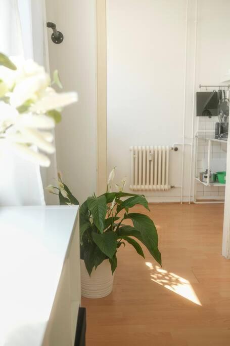 Stadtoase Wohnung Nahe Hauptbahnhof Koblenz  Kültér fotó